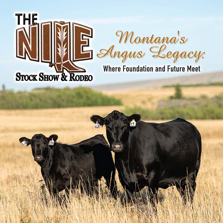 2023 NILE Angus Female Sale