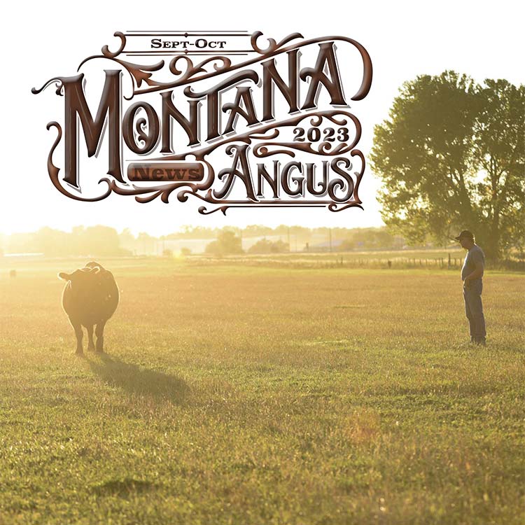 Montana Angus News