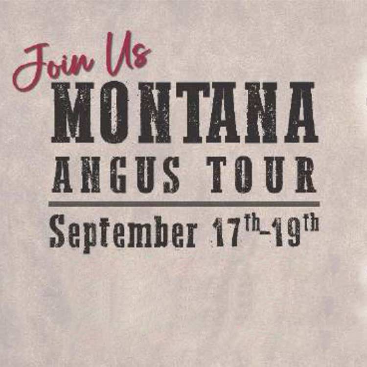2024 Montana Angus Tour