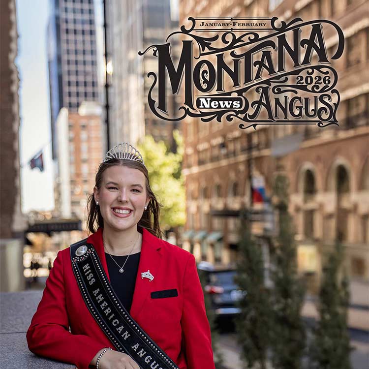 Montana Angus News