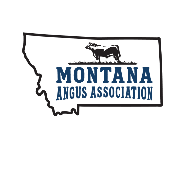 Join Montana Angus Association